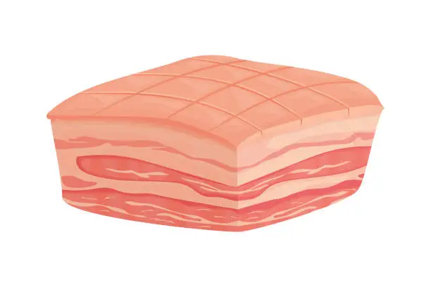 Vector illustration of meat pork belly icon isolated