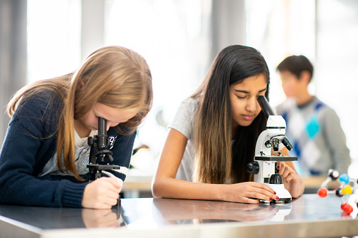 Two elementary students look through microscopes out on their desks, as they participate in a science activity.  They are each dressed casually and are focused on looking at their slides as their classmates work away independently in the background.