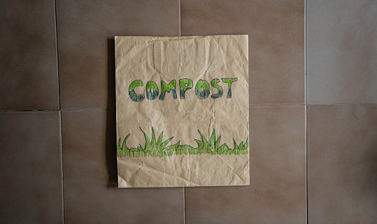 Using Compost for plant care at home. Sustainable Gen Alpha lifestyle.