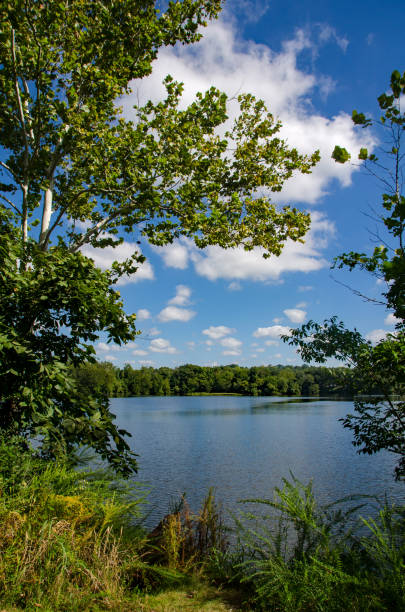 Simpson Park - Summertime View of Lake