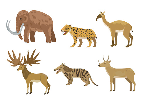 Prehistoric animals, mammoth, saber-tooth tiger, macrauchenia, clip-art collection. Vector illustration of cartoon characters.