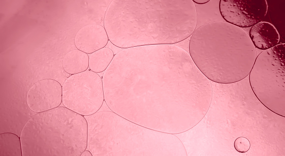 Abstract pink gradient of serum oil droplets on water surface pattern background. Art images background.