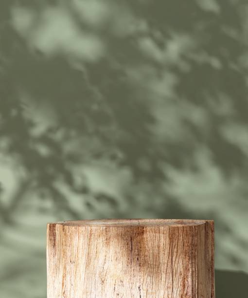 Empty natural log wood table podium in dappled sunlight, leaf foliage shadow on green concrete wall