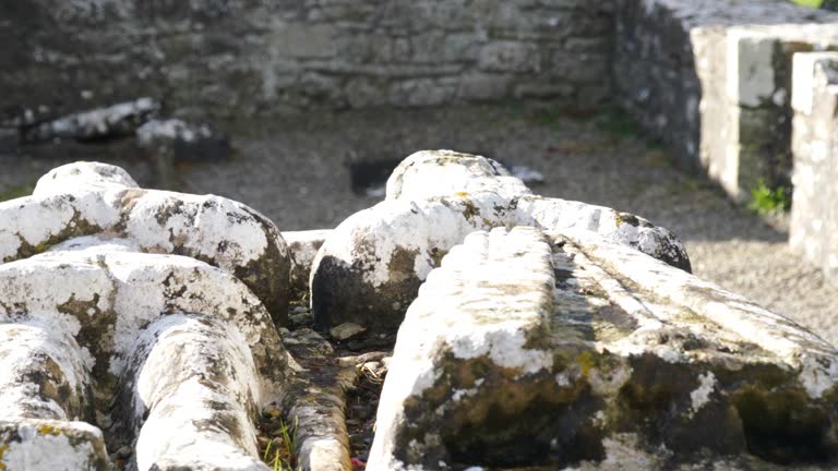 Two Stone Effigies On The Altar Tomb Near The Cathedral of St. Peter and St. Paul In Trim, County Meath, Ireland. Slide Shot