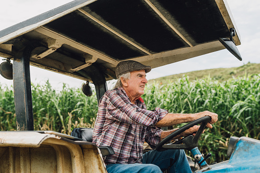 Attentive senior farmer driving his tractor