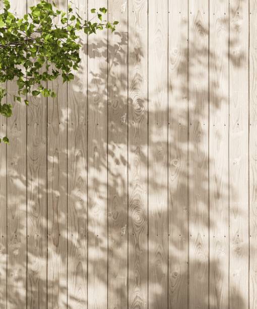 istock Outdoor wood plank fence wall in dappled sunlight, tree foliage, leaf shadow 2148219766