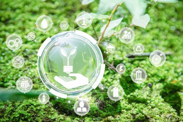 istock Glass globe encircled by verdant forest flora, symbolizing nature, Environmental protection, sustainability, ESG green energy sustainable. World environment day concept, climate change awareness goals 2148220967