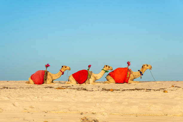 Photo taken in Broome, Australia