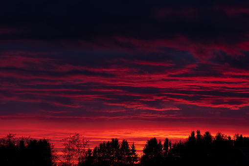 Sky with red clouds at sunset against a forest background