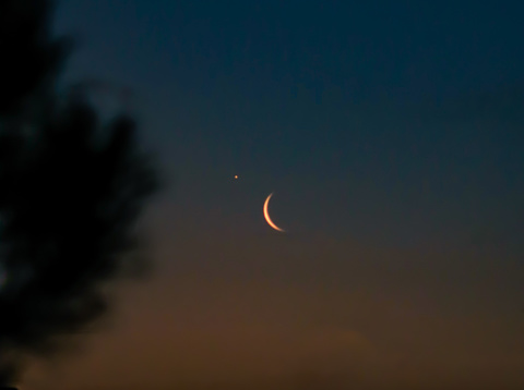 Crescent moon shown in the night sky
