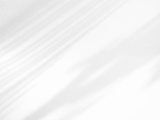 istock Shadow Background Abstract Leave Overlay Wall Floor Light Effect White Plant Sunlight Backdrop Mockup Minimal Spring Summer Nature Grey blur Photography Scene Template Poster Card Frame Product. 2148227309