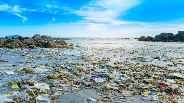 istock Aerial view of trash, plastic cups and plastic bags at the beach. environmental problem concept and healing the world 2148227424