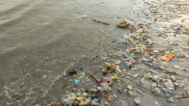 istock Aerial view of trash, plastic cups and plastic bags at the beach. environmental problem concept and healing the world 2148227442