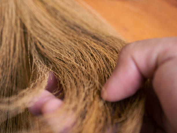 istock broom close up detail 2148227508