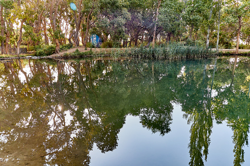 pond with overgrown banks and the reflection of trees in the water. Altyn Emel National park in Kazakhstan