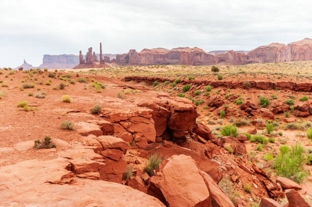 Monument Valley on a slightly overcast summer morning.