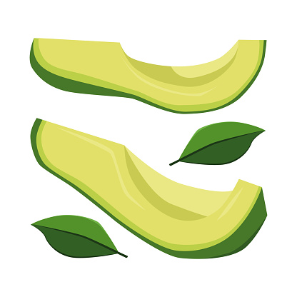A set of chopped avocado. Avocado cut lengthwise, crosswise and into cubes. An avocado pit. Vector illustration isolated on a white background for design and web.