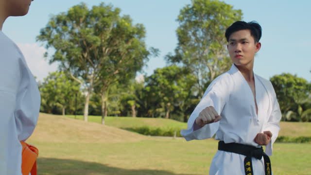 Male Taekwondo Fighter Breaking Opponents Wooden Board