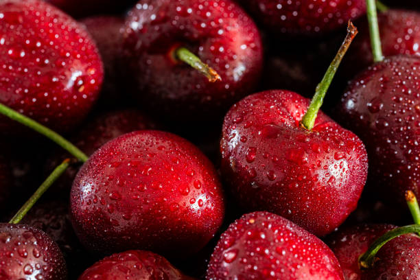 istock Raw Red Organic Cherries.water drops 2148232226