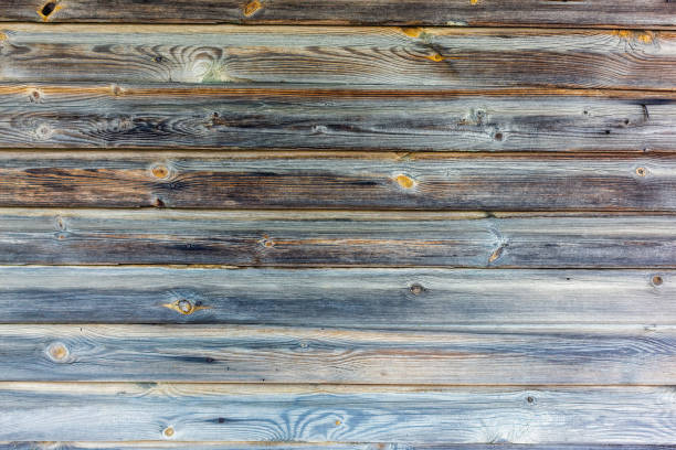 Old wooden pine wood planks with former branches wall texture background