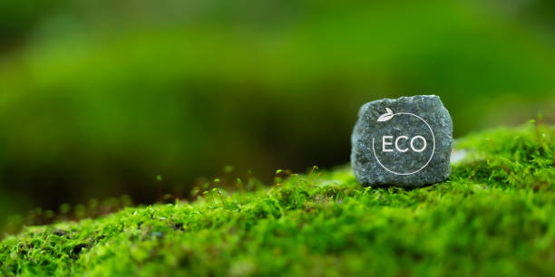 istock Eco friendly, save of earth, saving environment, save clean planet, ecology concept. Green business and sustainable environment. Protect the environment. World earth day, world environmental day. 2148234604
