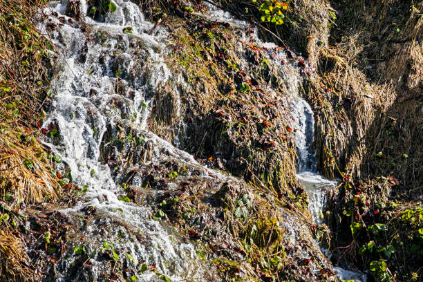 istock spring mountain stream on a slope on a sunny day. Earth Day 2148235448