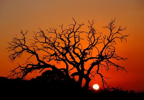 Bilder zum Thema Tramonto Kostenlose Bilder auf Unsplash herunterladen