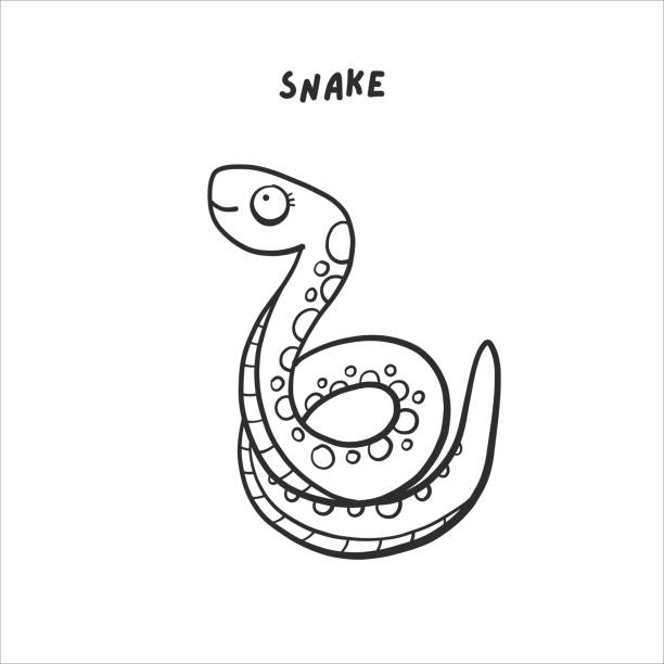 illustrations, cliparts, dessins animés et icônes de carte livre de coloriage serpent boa - safari animals wild animals animals and pets reptile
