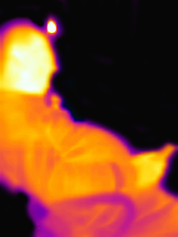 Broadman is immersed in an armchair and a smartphone.Image from thermal imager device.