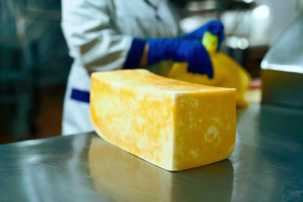 istock large piece of marbled cheese. Cheese factory 2148244241