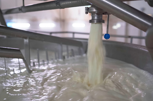 The milk comes out of the nozzle into the kneading tank. Dairy Equipment