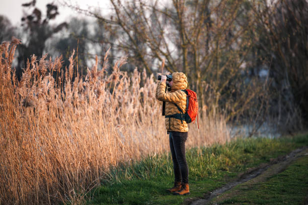 istock Bird watching during hiking in nature 2148244888
