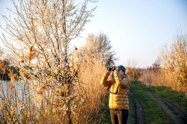 istock Bird watching. Female ornithologist with binoculars looking for birds in nature 2148244914