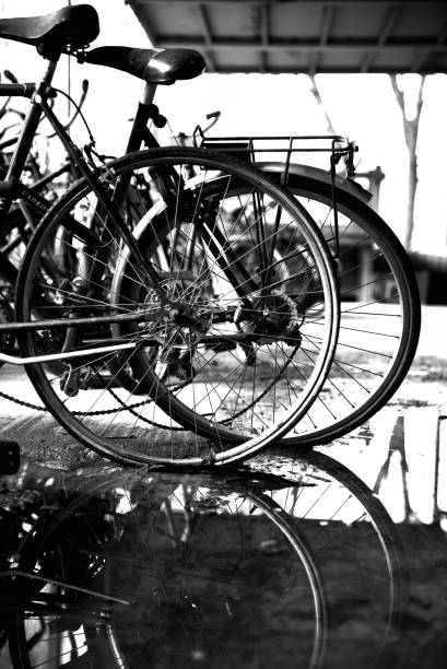Black&white photo of bicycles and reflection of their wheels in the water