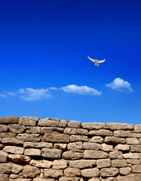 Stone wall and flying bird over dramatic sky