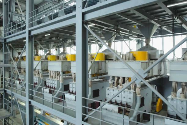 istock Sifting rice in factory. Rice sieving conveyor. 2148246010