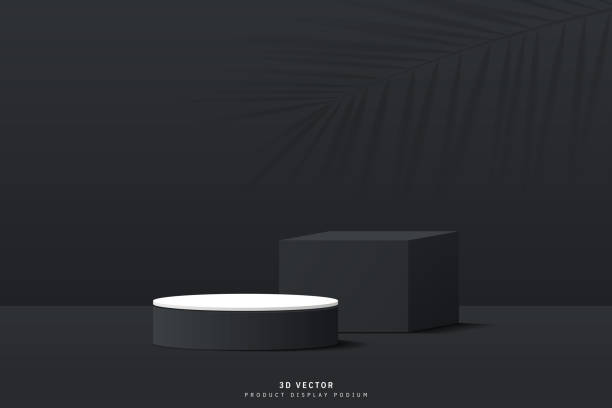 istock Abstract black 3D cube pedestal and white cylinder podium realistic with palm leaf shadow on wall background. Minimal scene for product display. 3D stage for showcase. 3D vector geometric platform. 2148247022