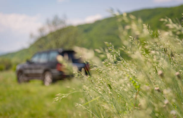 SUV travels through the spring Carpathians