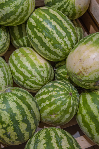 Watermelons in the wooden container on supermarket shelf. watermelon on street market. Summer Fruits for healthy diet. Fresh organic water melon fruit for sale in grocery store. Selective focus