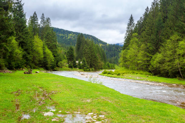 istock carpathian countryside scenery with river on a cloudy day in spring 2148248405