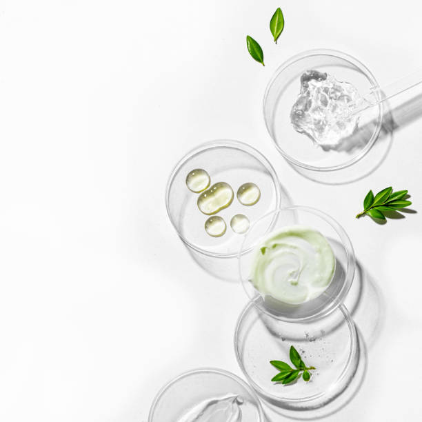 istock Organic plant based beauty products 2148248941