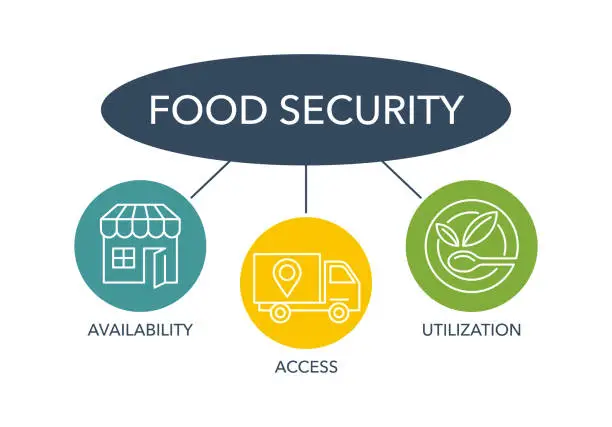 Vector illustration of Food security - Availability, Access, Utilization