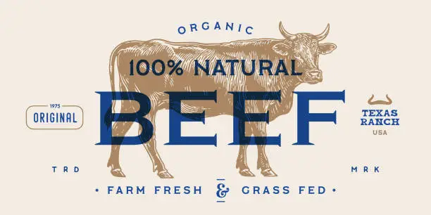 Vector illustration of Cow, bull, beef meat tag label
