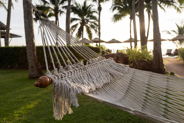 istock hammock closeup, tropical vacations, relax in empty hammock on beach 2148250848