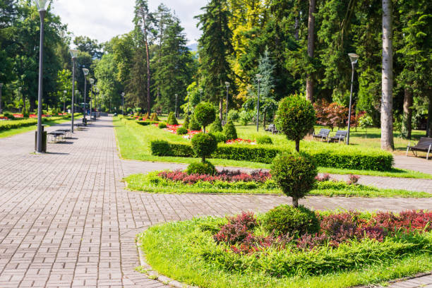istock Public park with lush flowers and trees 2148253279
