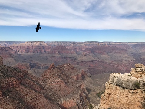 The Grand Canyon, AZ