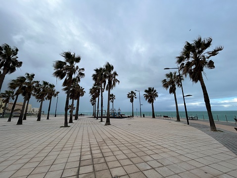 La Playa de Cádiz, situada en la histórica ciudad de Cádiz, España, es un destino turístico popular conocido por sus hermosas playas de arena dorada y su animado ambiente. Con una extensión de [insertar extensión], esta playa ofrece a los visitantes la oportunidad de disfrutar del sol y el mar Mediterráneo en un entorno pintoresco y relajado. Además de sus aguas cristalinas y su suave brisa marina, la Playa de Cádiz cuenta con una amplia gama de servicios y comodidades, como restaurantes, bares, alquiler de equipos acuáticos y áreas de juegos para niños, que garantizan una experiencia de playa inolvidable para toda la familia. Con su encanto costero y su rica historia, la Playa de Cádiz es el lugar ideal para disfrutar de días soleados y momentos memorables junto al mar.