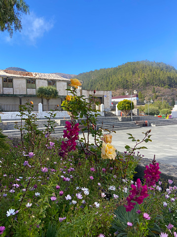 View of Vilaflor mountain village with beautiful blooming roses in the foreground in Tenerife,Canary Islands,Spain.Selective focus.