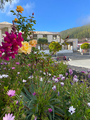 View of Vilaflor mountain village with beautiful blooming roses in the foreground in Tenerife,Canary Islands,Spain.Selective focus.