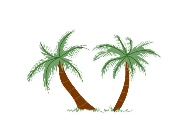 Vector illustration of Cute hand drawn palm tree. Flat vector illustration isolated on white background. Doodle drawing.